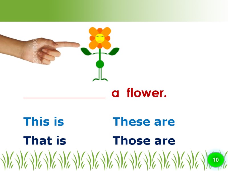 This is These are ________________  a  flower. 10 That is Those are